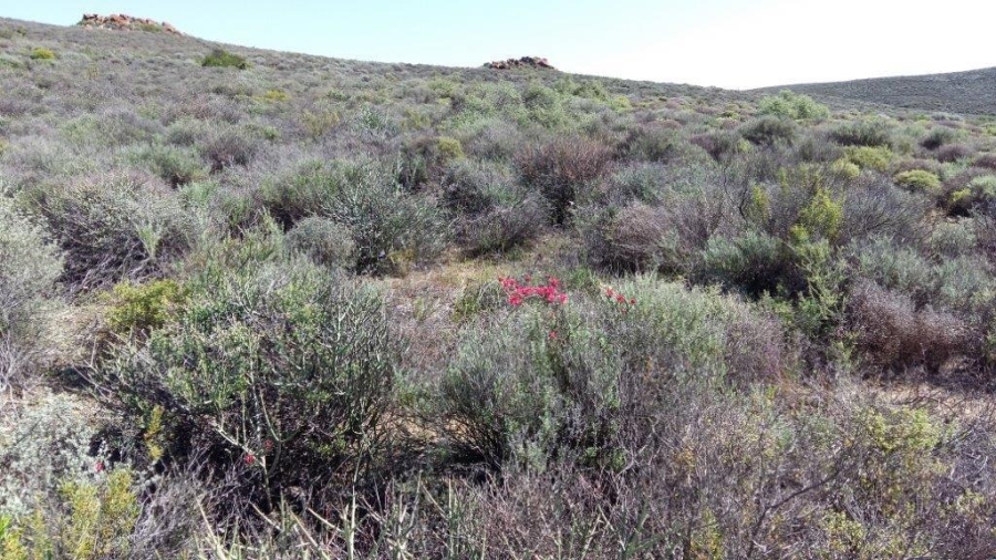 0 Bedroom Property for Sale in Calvinia Rural Northern Cape